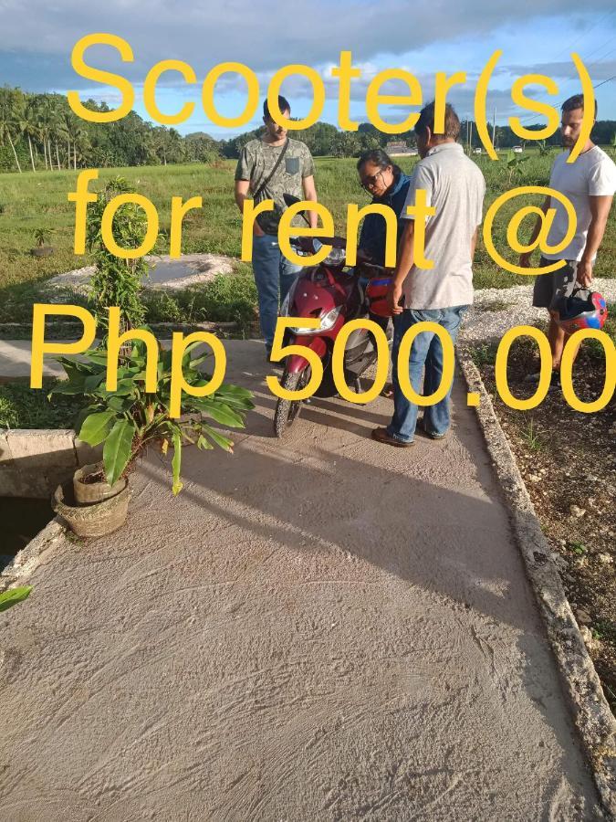 Jazz Ferme Inn Batuan Bohol Ngoại thất bức ảnh