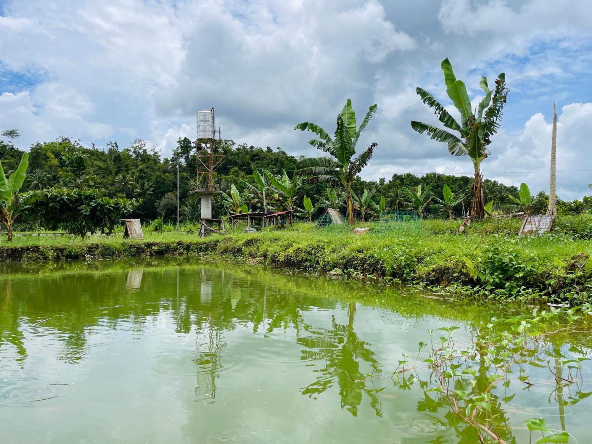 Jazz Ferme Inn Batuan Bohol Ngoại thất bức ảnh