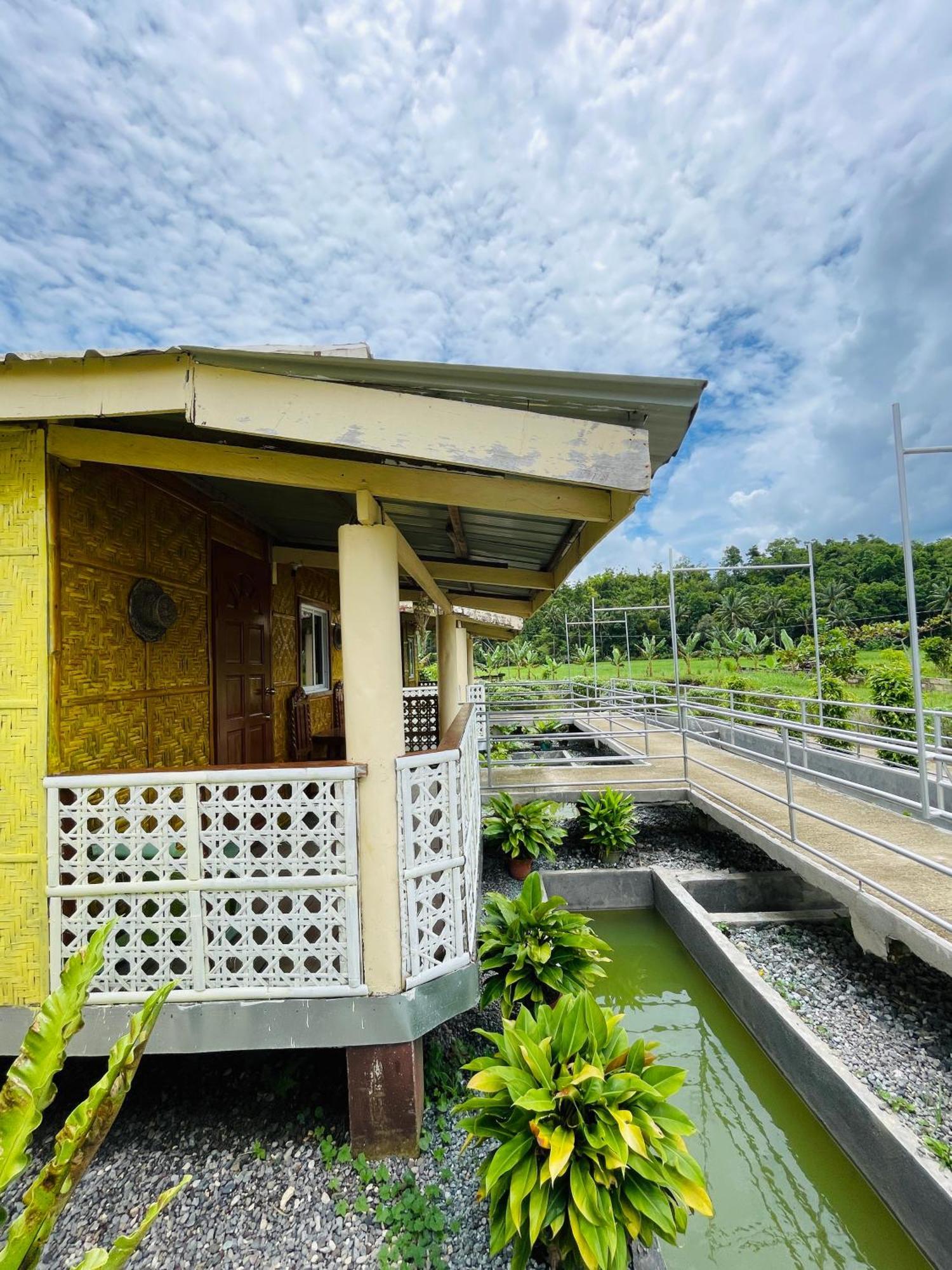 Jazz Ferme Inn Batuan Bohol Ngoại thất bức ảnh