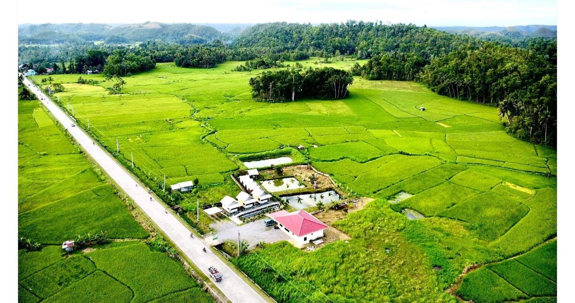 Jazz Ferme Inn Batuan Bohol Ngoại thất bức ảnh