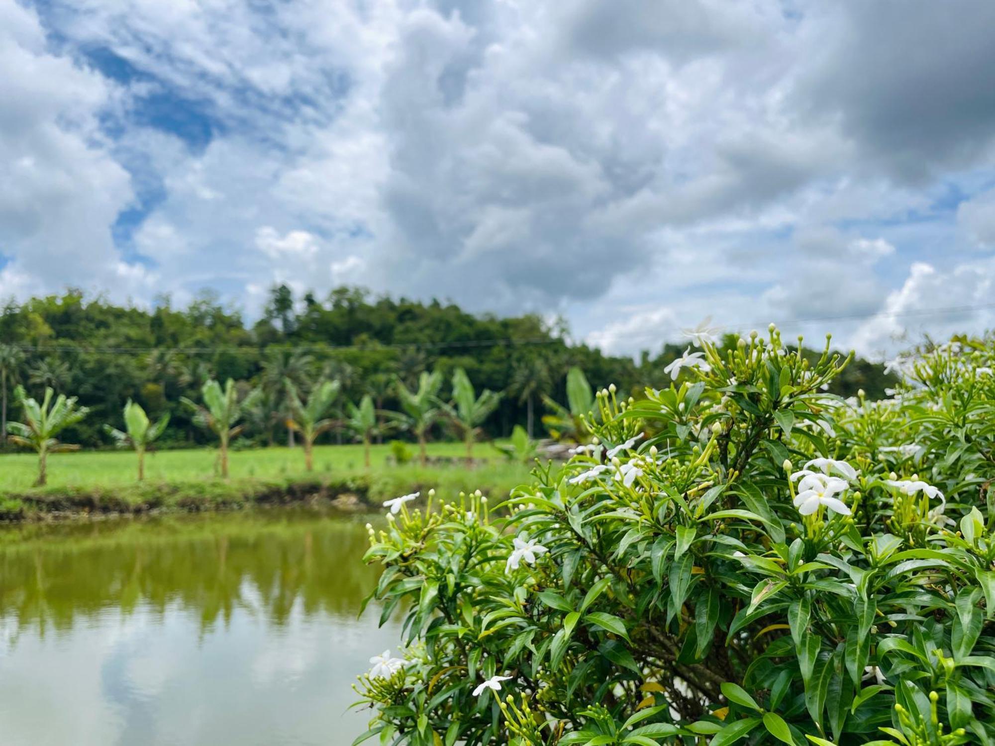Jazz Ferme Inn Batuan Bohol Ngoại thất bức ảnh