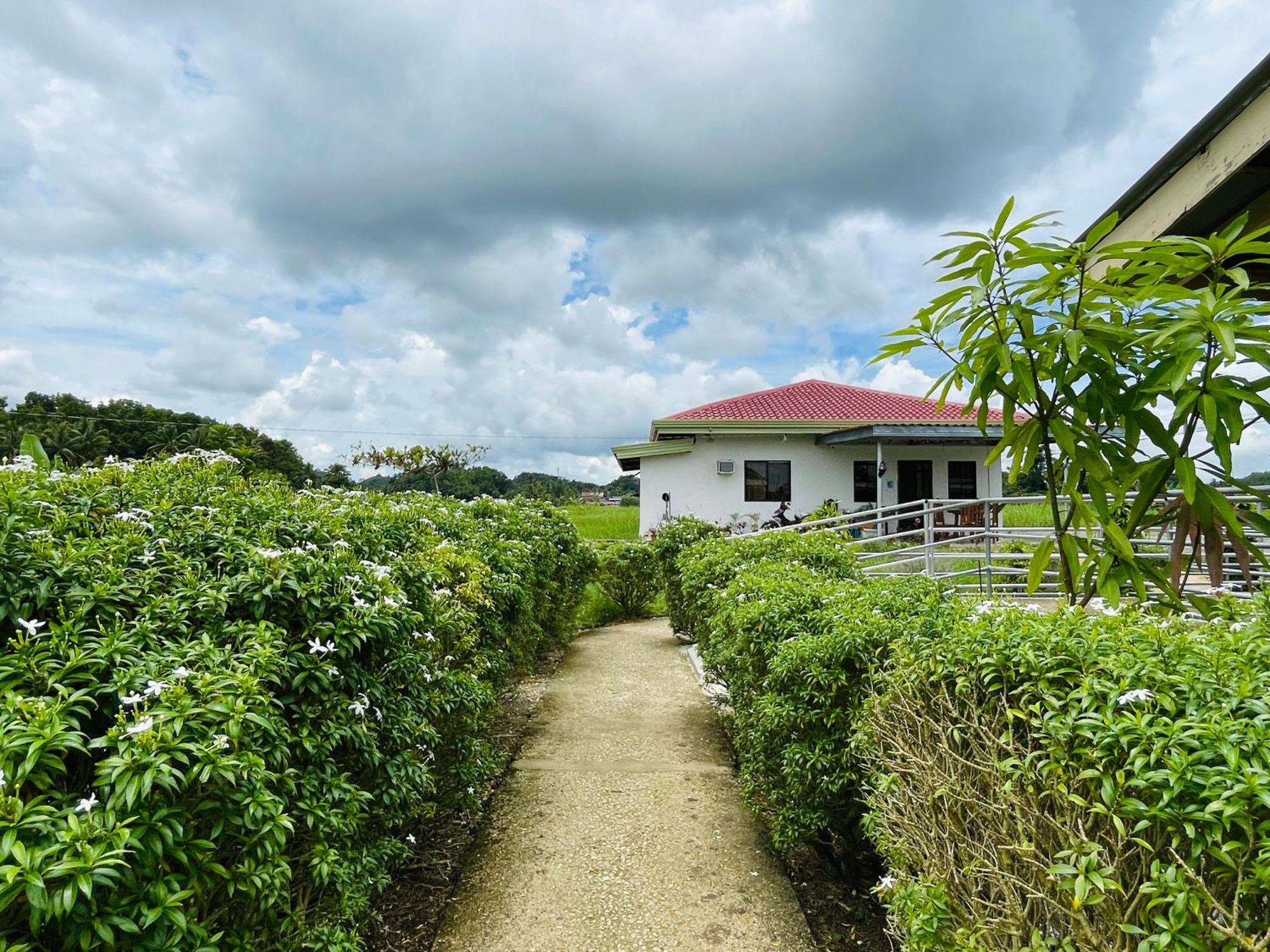 Jazz Ferme Inn Batuan Bohol Ngoại thất bức ảnh