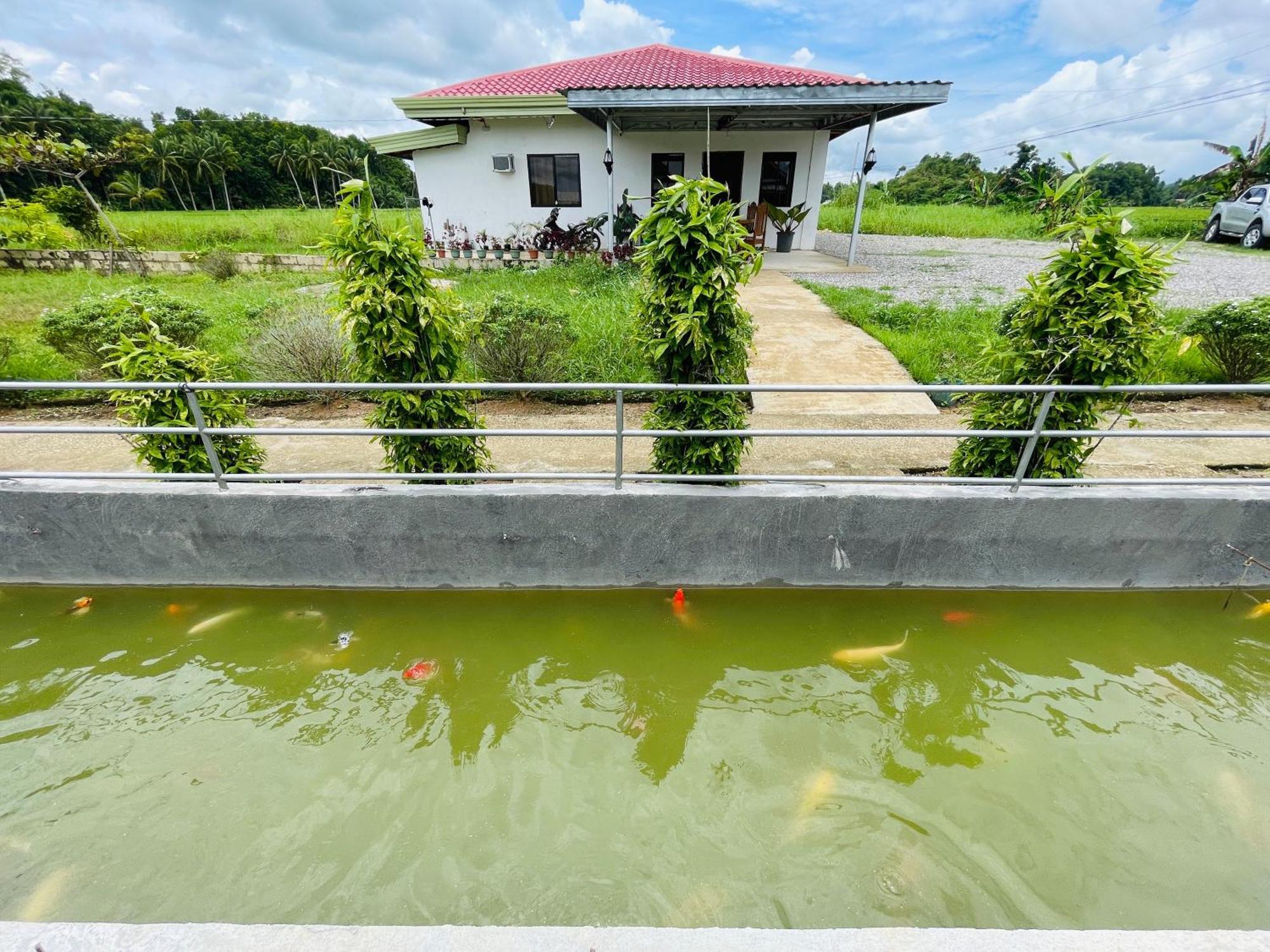 Jazz Ferme Inn Batuan Bohol Ngoại thất bức ảnh