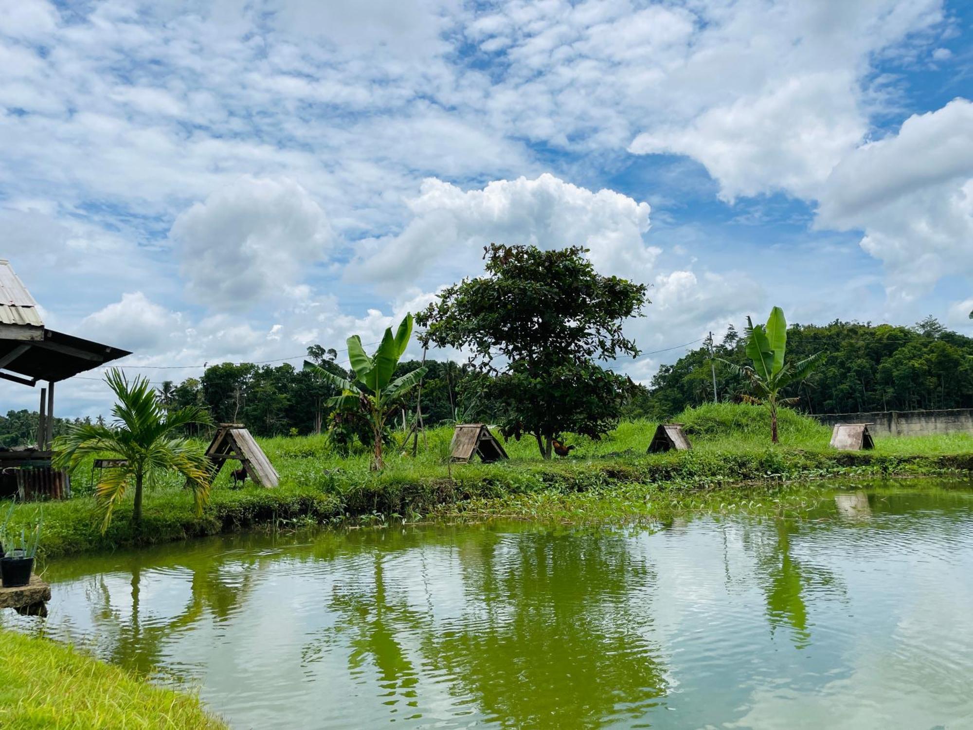 Jazz Ferme Inn Batuan Bohol Ngoại thất bức ảnh