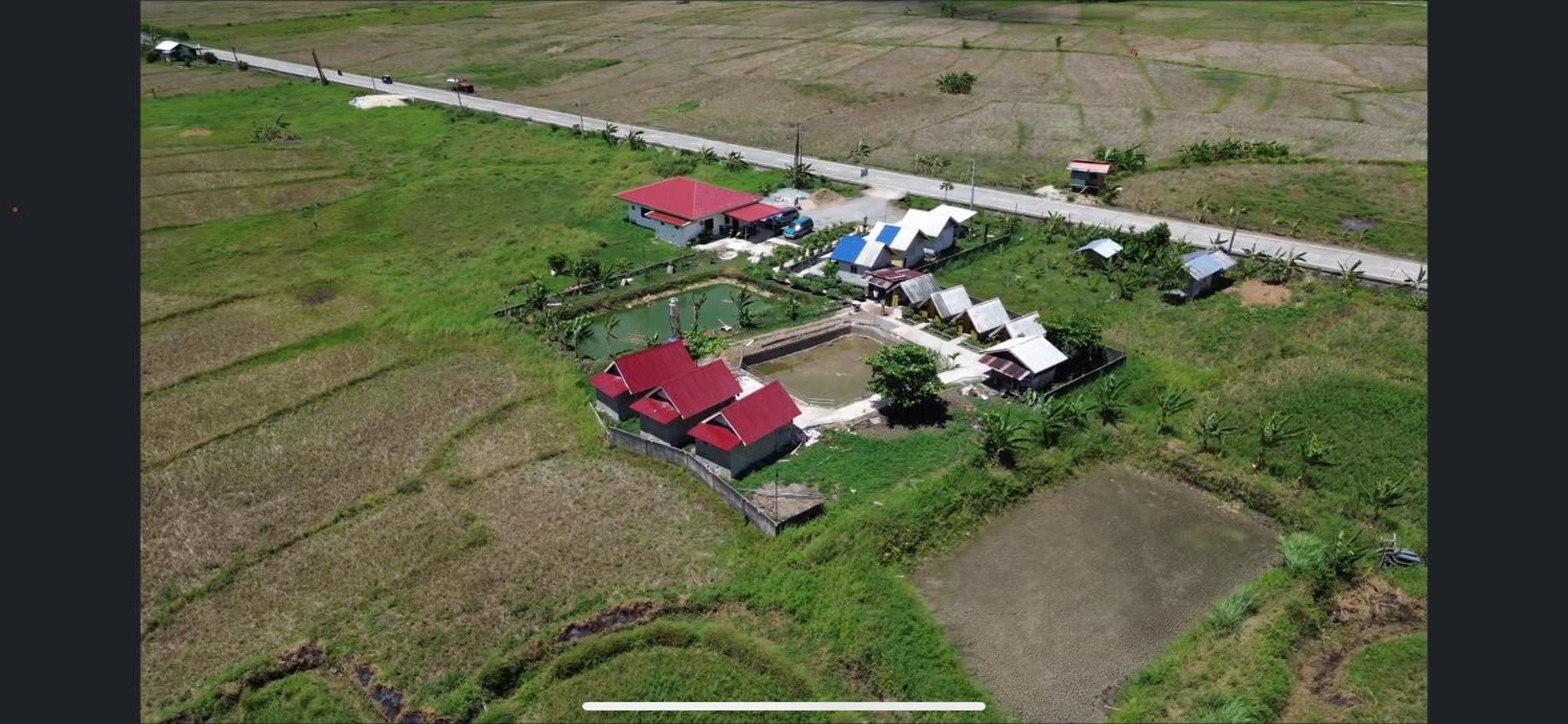 Jazz Ferme Inn Batuan Bohol Ngoại thất bức ảnh